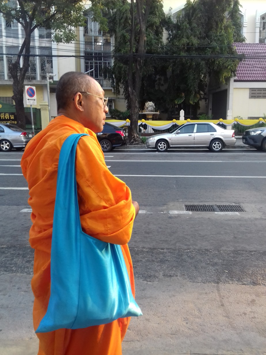 Mams et Merlin on the road&nbsp;#1