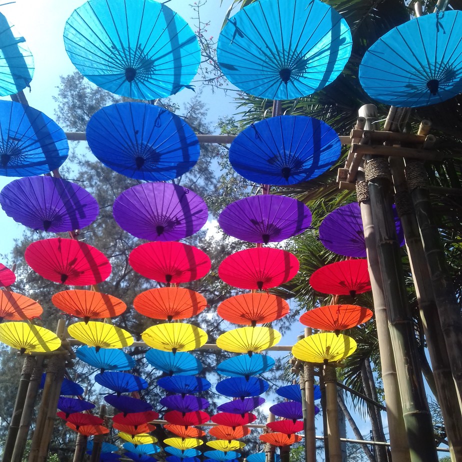 Mams et Merlin on the road&nbsp;#7