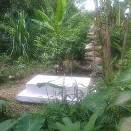 29003557_10211415230762901_1901746658_n