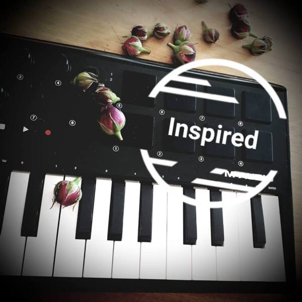 rose macerat article deco anna