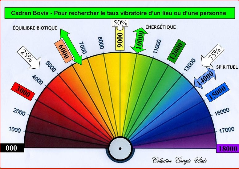 unité bovis échelle - cadran