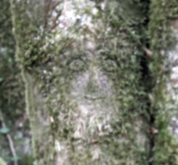 Quand l&rsquo;invisible devient visible&nbsp;!