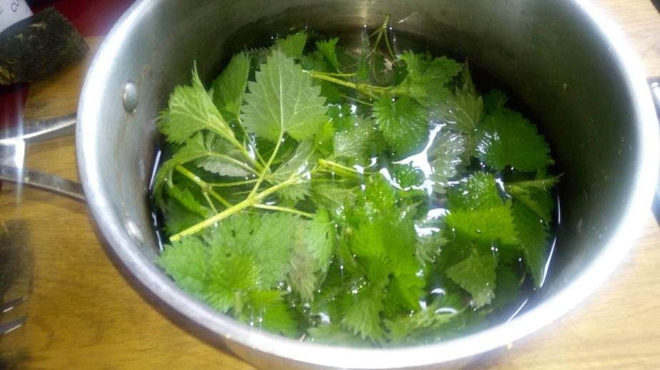 L&rsquo;eau d&rsquo;ortie : simple et&nbsp;puissant