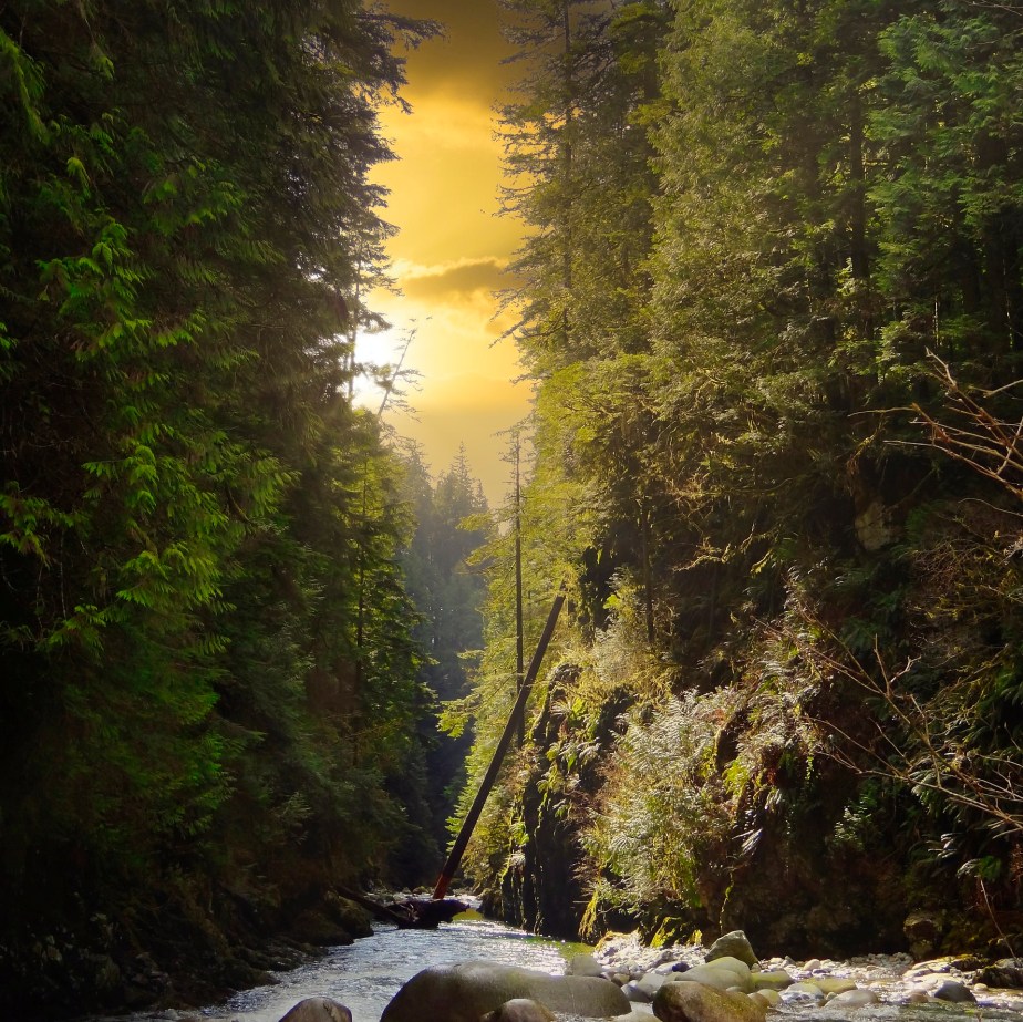 Relaxation : ruisseau, oiseaux et ondes alpha&nbsp;!